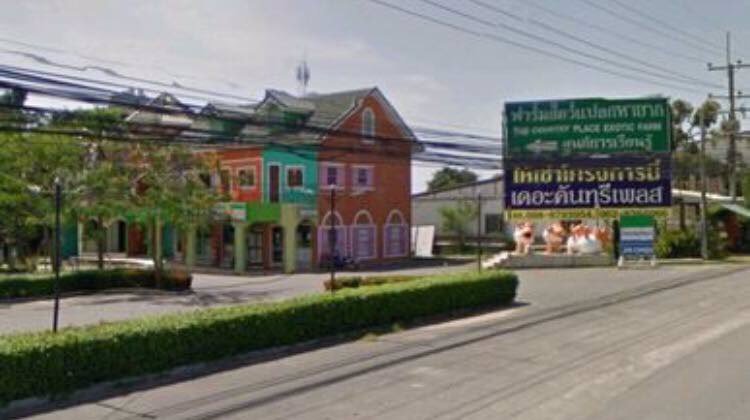 ขายที่ดินนาจอมเทียน-ซอย-38-2-ฝั่งทะเล-เนื้อที่-99-ตรวหน้ากว้าง-195-เมตร-ลึก-20-เมตร