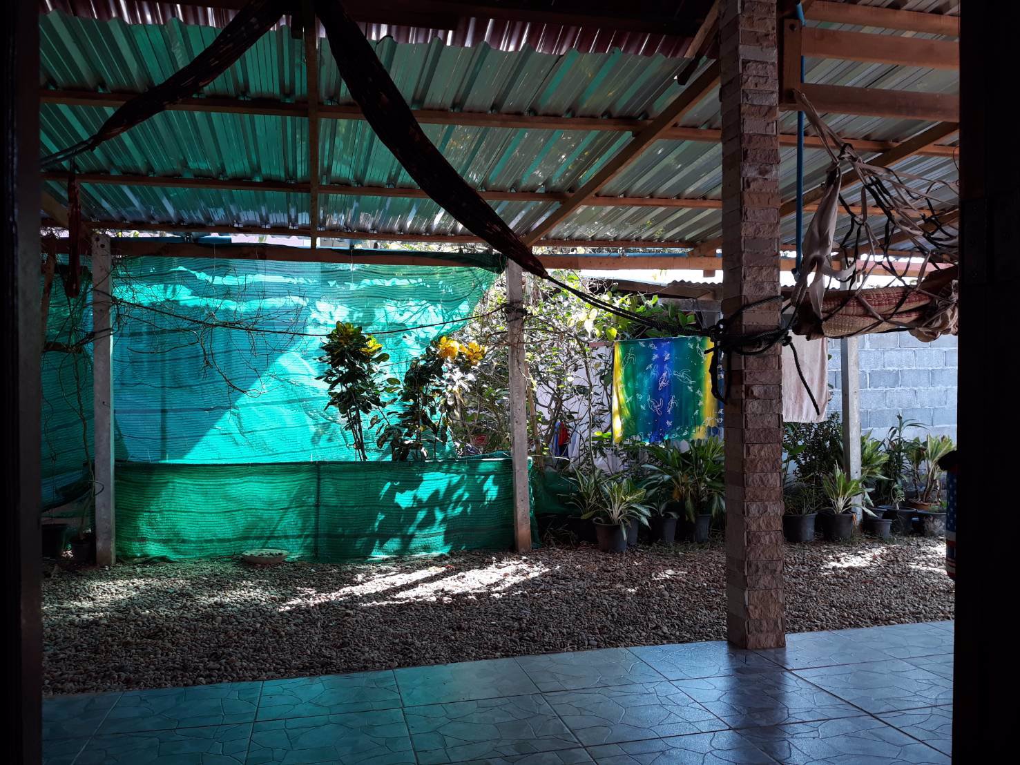 ขายบ้านเดี่ยว-ชั้นเดียว-จังหวัดหนองคาย