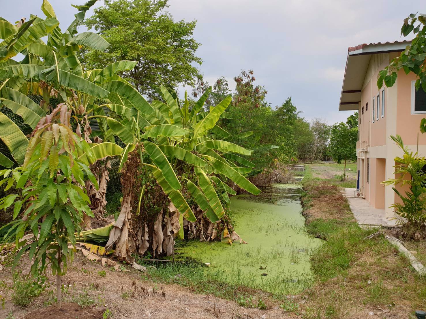 ขายบ้านเดี่ยว-อหนองเสือ-จปทุมธานี