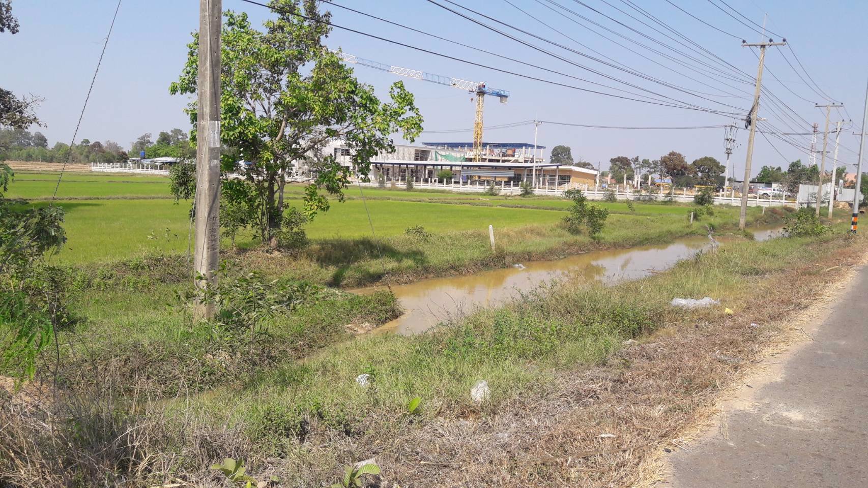 ขายที่ดิน-54-ไร่-3-งาน-687-ตารางวา-จังหวัดร้อยเอ็ด