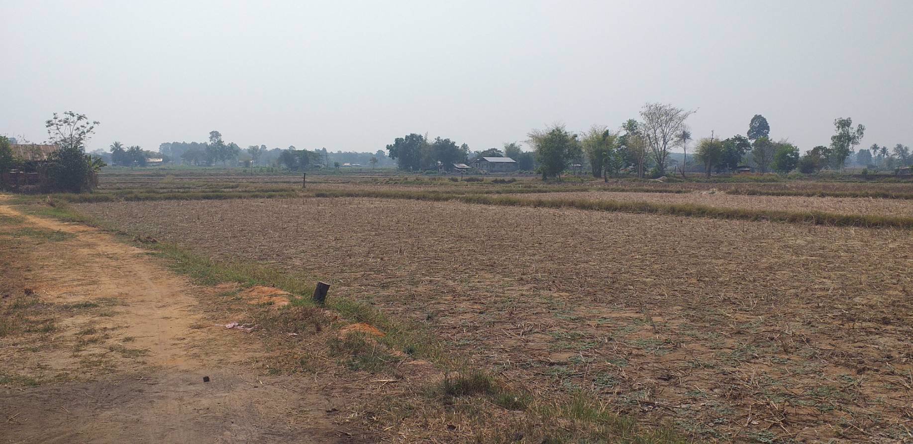 ขายที่ดิน-1-ไร่-จังหวัดอุดรธานี