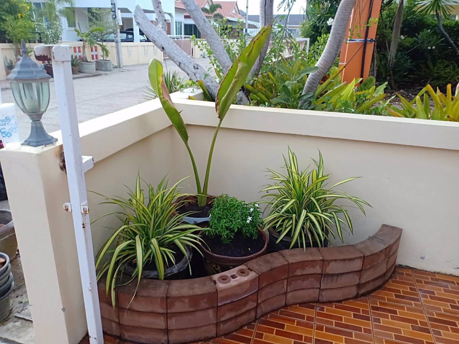 บ้านให้เช่า-หัวหิน-ชะอำ-หมู่บ้าน-อาเล็กซ์เม้าเท่นน์