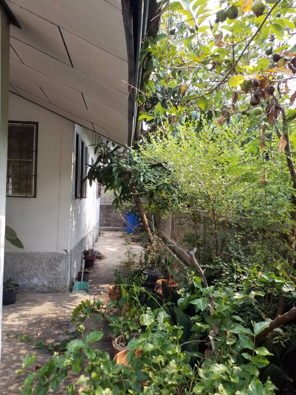 ขายบ้านเดี่ยวชั้นเดียว-หมู่บ้านพิบูลธานี