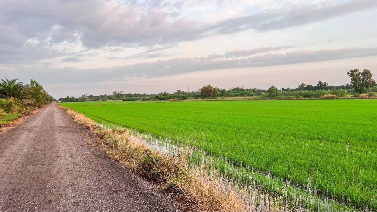 ขายที่ดิน-คลอง-10-หนองเสือ-ตะวันตก