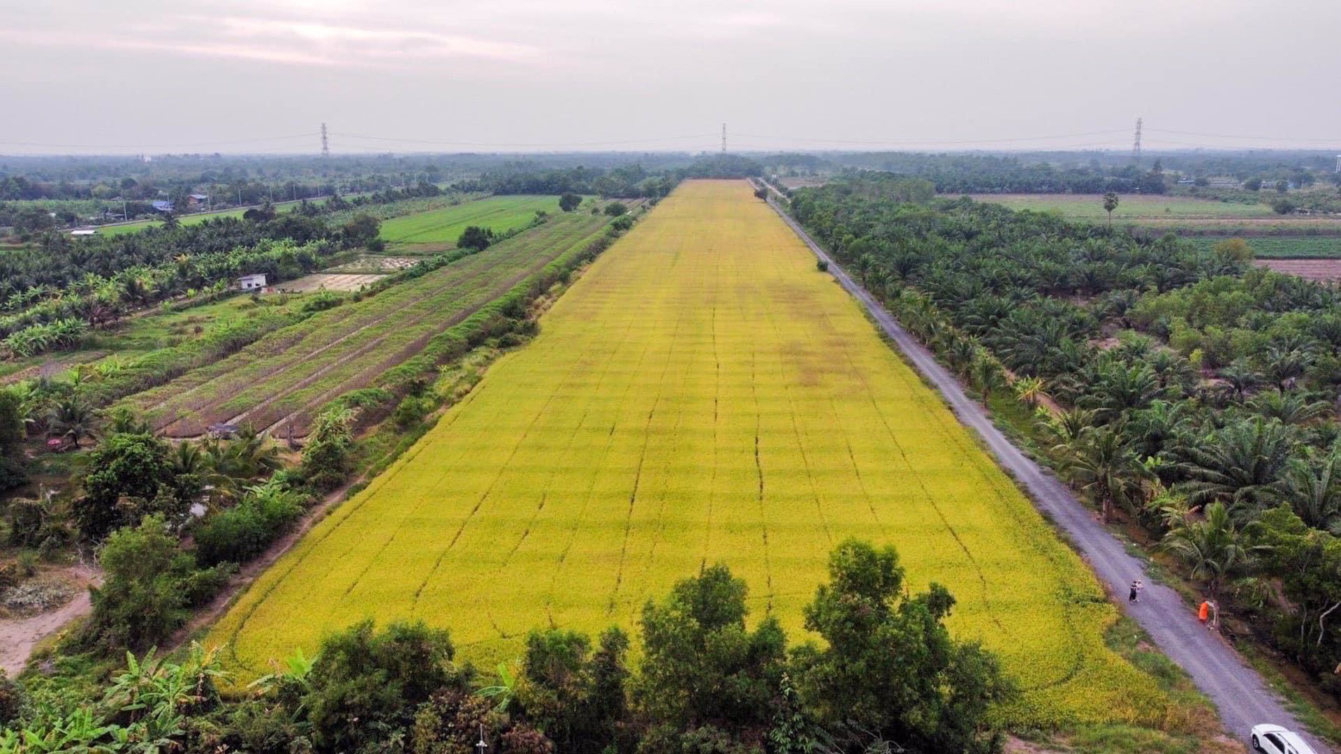 ขายที่ดิน-คลอง-10-หนองเสือ-ตะวันตก
