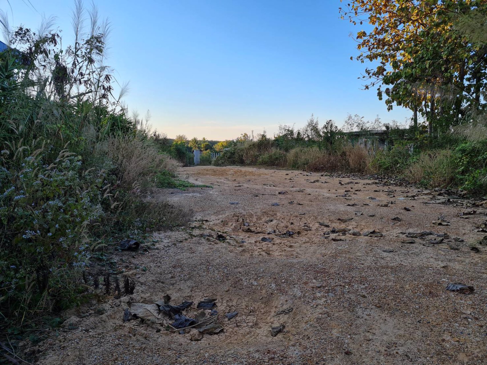 ขายที่-อ-เด่นชัย-จ-แพร่-1-ไร่-1-งาน-39-ตรว-ติดศูนย์ไปรษณีย์เด่นชัยครับ-เจ้าของขายเอง-ที่สวยมาก