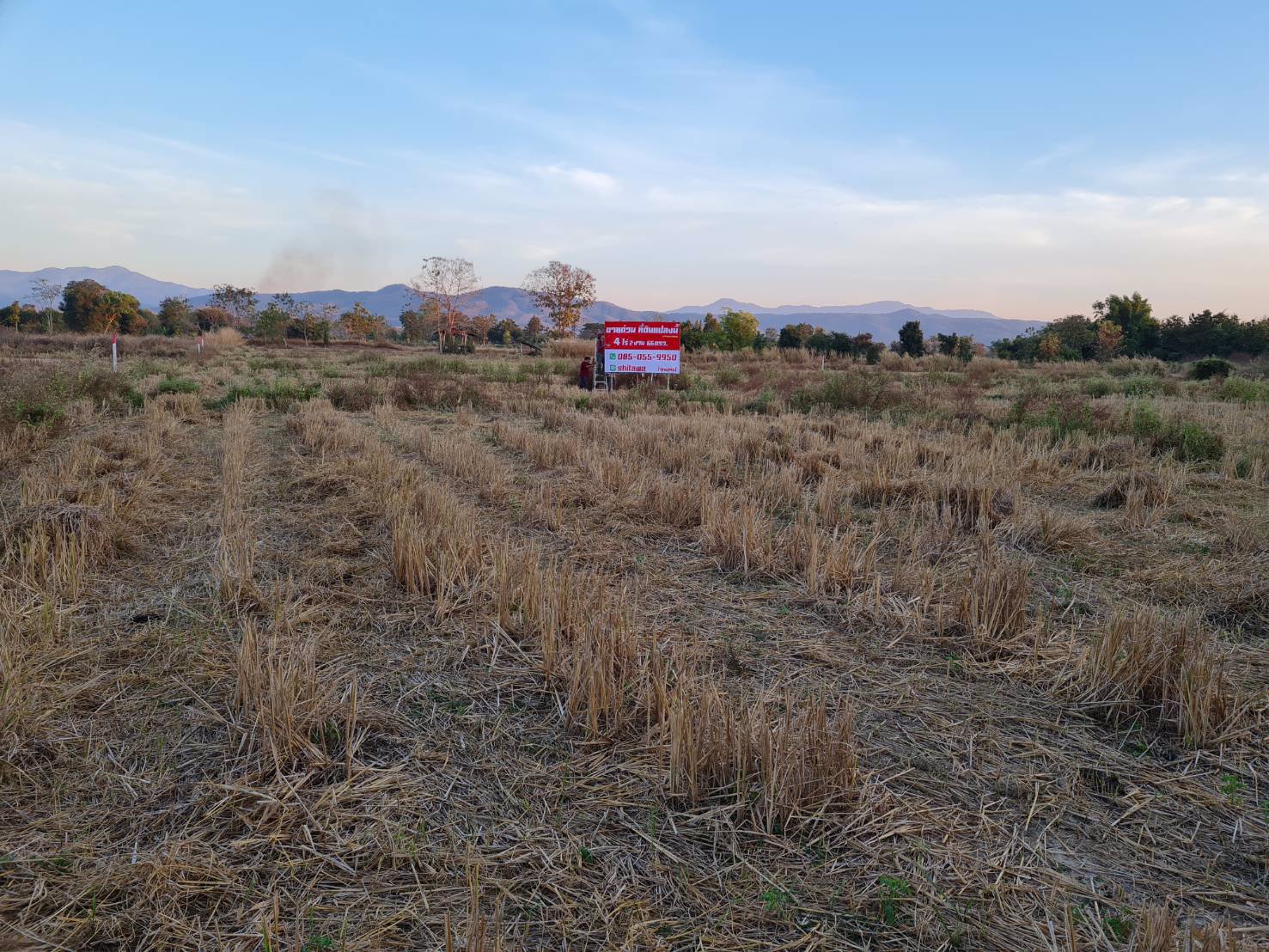 ขายที่ดินแปลงสวยติดถนนหลัก-ต-หัวฝาย-อ-สูงเม่น-จ-แพร่-ที่สวยมาก-เจ้าของขายเองราคาต่อรองได้