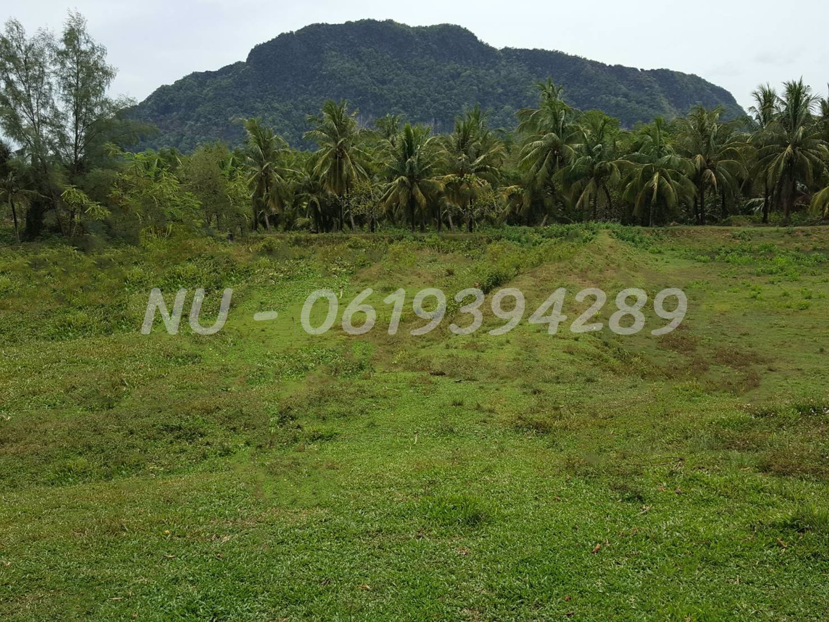 ขายที่ดินพร้อมบ้าน-ติดถนนใหญ่ทางลงเกาะลันตา