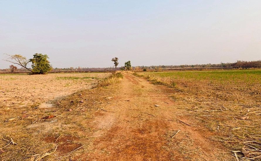 ขายด่วน-ที่ดินที่นา-ราคาพิเศษ-บ้านทุ่งปลากัด-อำเภอสว่างแดนดิน-จังหวัดสกลนคร