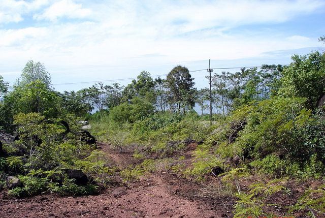 ขาย-ให้เช่าที่ดิน-ติดทะเล-ติดถสุขุมวิท-อำเภอ-คลองใหญ่-ตราด-14ไร่