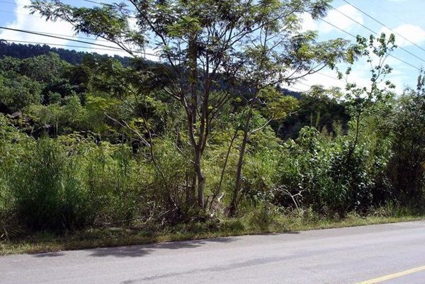 ขายที่ดิน-ติดถสุขุมวิท-อำเภอ-คลองใหญ่-ตราด-12-ไร่