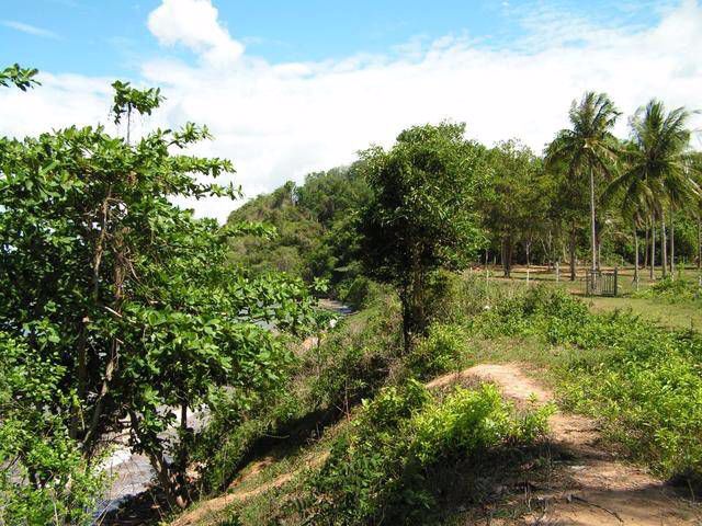 ให้เช่าที่ติดทะเล-อำเภอ-สิเกา-ตรัง-2-3-823ไร่