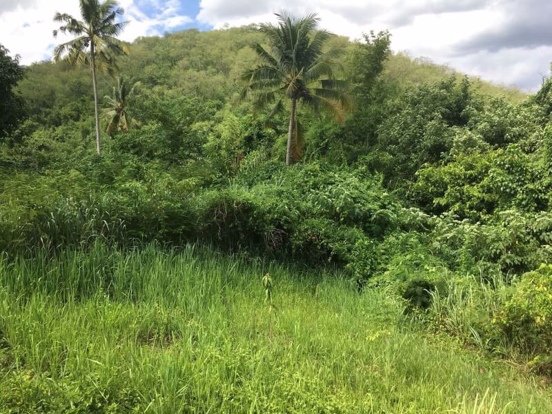 land-for-rent-ให้เช่าที่ดิน-ใกล้น้ำตก-342-ตรวา-อปากช่อง-โคราช