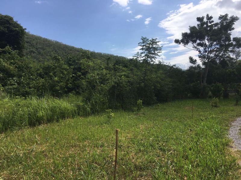 land-for-rent-ให้เช่าที่ดิน-ใกล้น้ำตก-342-ตรวา-อปากช่อง-โคราช