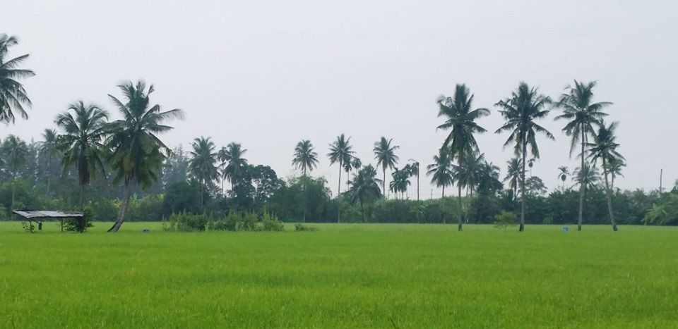 ขายบ้านเดี่ยว-สร้างใหม่-จองเพียง-50000-บาทเท่านั้น-อยู่ติดโรงเรียนบ้านคลองสำโรง-บ้านแพ้ว-จังหวัดสมุ