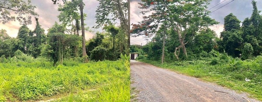 ให้เช่าที่ดิน-320-ตรว-ใกล้ถนนใหญ่-ทางไปน้ำตกสาริกา-นครนายก-