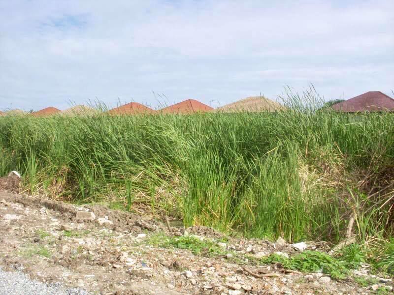 ให้เช่า-ที่ดินในหมู่บ้านกฤตยา-ใกล้ถนนบางนา-ตราด-บางพลีใหญ่-สมุทรปราการ