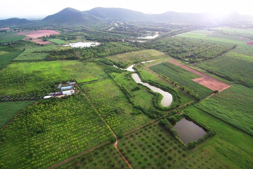 ขายที่ดิน-175-ไร่-พร้อมโรงงานแปรรูป-บ้านพัก-และสวนผักผลไม้-สามารถดำเนินธุรกิจต่อได้ทันที-อท่าม่วง-จ