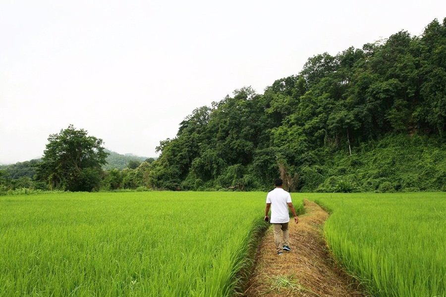 ขายที่ดิน-12-ไร่-ติดแม่น้ำปาย-ติดภูเขา-วิวสวย-อำเภอเมืองแม่ฮ่องสอน