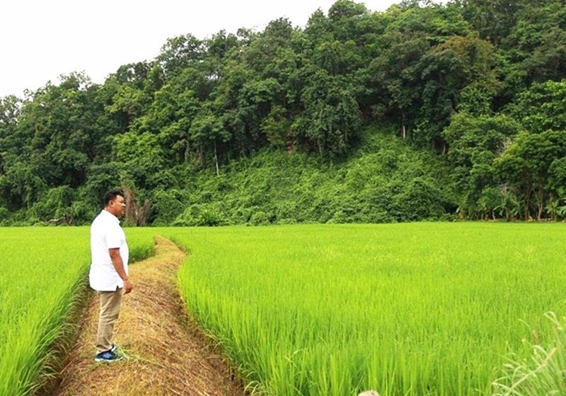 ขายที่ดิน-12-ไร่-ติดแม่น้ำปาย-ติดภูเขา-วิวสวย-อำเภอเมืองแม่ฮ่องสอน