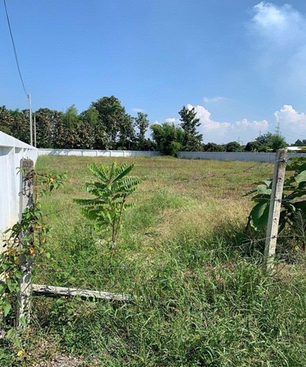 ขายที่ดินเปล่า-500-ตรว-ทำเลสวย-อยู่ติดถนนชุมชน-อสารภี-เชียงใหม่