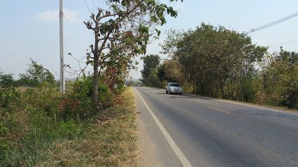 ให้เช่าที่ดินเปล่า-ระยะกลาง-ยาว-82-ไร่-จอมบึง-ราชบุรี