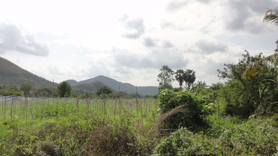 ให้เช่าที่ดิน-ใกล้ถนนสายหัวหิน-ห้วยมงคล-ทล3218-ตหินเหล็กไฟ-หัวหิน