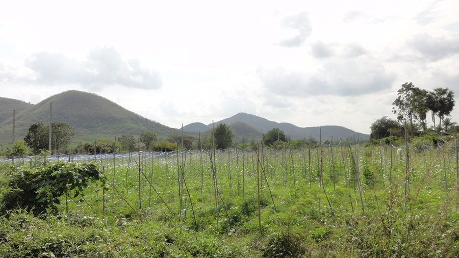 ให้เช่าที่ดิน-ใกล้ถนนสายหัวหิน-ห้วยมงคล-ทล3218-ตหินเหล็กไฟ-หัวหิน