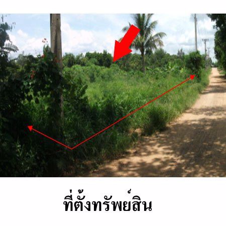 ให้เช่าที่ดิน-ใกล้ถนนสายหัวหิน-ห้วยมงคล-ทล3218-ตหินเหล็กไฟ-หัวหิน