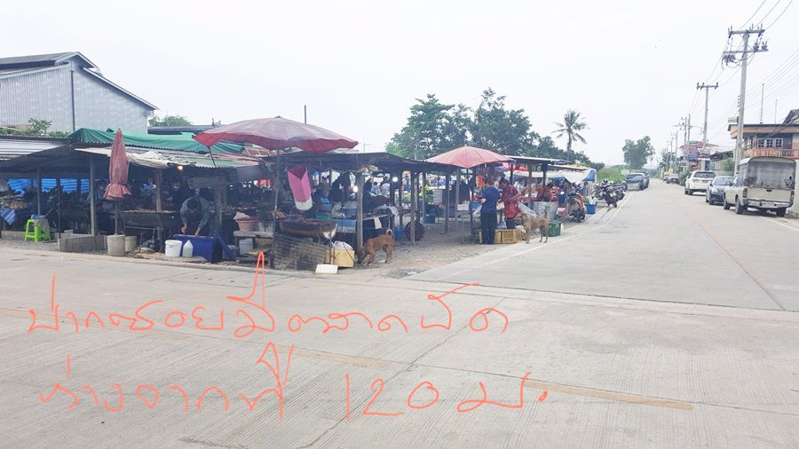 ขายที่ดิน-วปอ11-ซอย10-พื้นที่-2-งาน-อกระทุ่มแบน-จสมุทรสาคร
