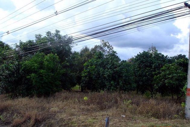 ให้เช่าที่ดินพร้อมบ้านมีปลูกยางในพื้นที่-ติดถสุขุมวิท-ตราด-56ไร่