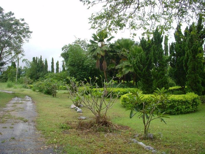 ขายที่ดิน-1-ไร่-ติด-ถสายบ้านหมาก-สวนมะเดื่อ-วังม่วง-สระบุรี