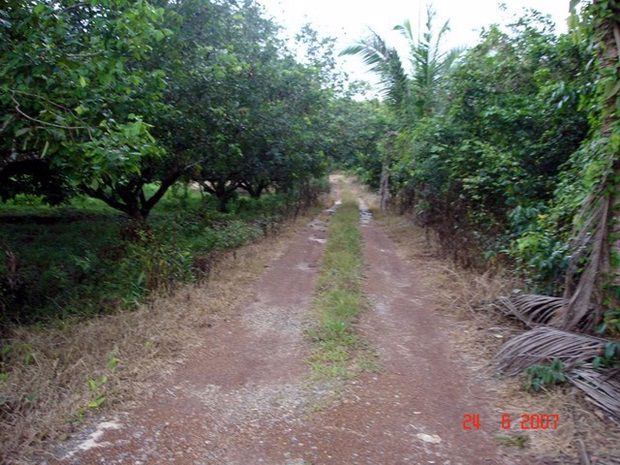 ให้เช่าที่ดินพร้อมบ้าน-มีสวนผลไม้-ปลูกยางในพื้นที่-15-ไร่-ติดถสุขุมวิท-อเขาสมิง-จตราด