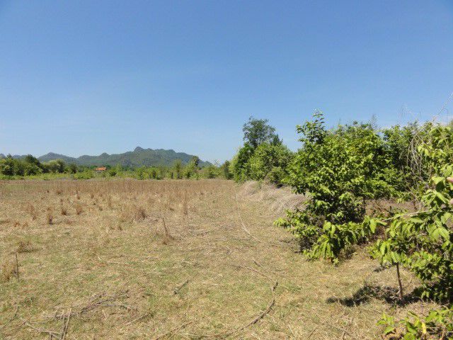 ให้เช่า-ที่ดิน-ติดถนน-20-ไร่-ลาดหญ้า-จกาญจนบุรี