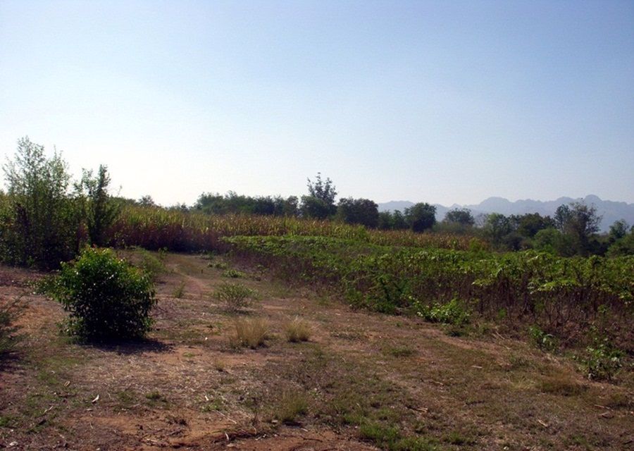 ให้เช่า-ที่ดิน-ติดถนน-20-ไร่-ลาดหญ้า-จกาญจนบุรี