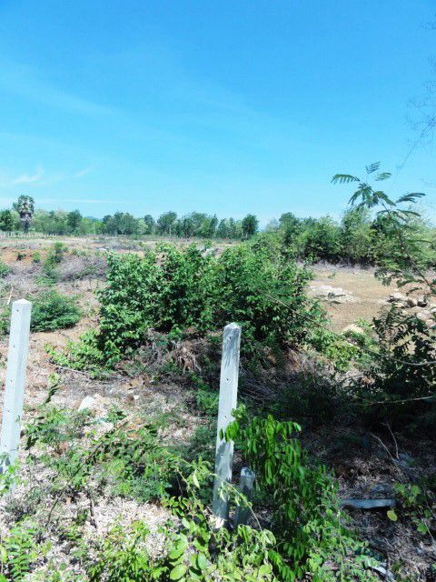 ให้เช่า-ที่ดิน-ติดถนน-20-ไร่-ลาดหญ้า-จกาญจนบุรี