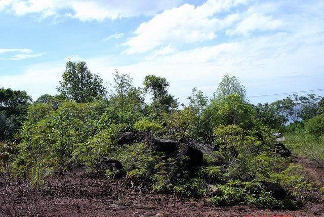 ขาย-ให้เช่าที่ดินติดทะเล-ติดถนนสุขุมวิท-อำเภอ-คลองใหญ่-ตราด-14ไร่
