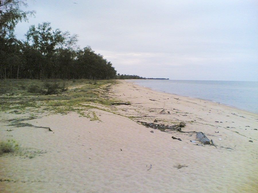 ขายที่ดินติดทะเล-หาดตะโละกะโปร์-24ไร่-แหลมโพธิ์-อยะหริ่ง-ปัตตานี