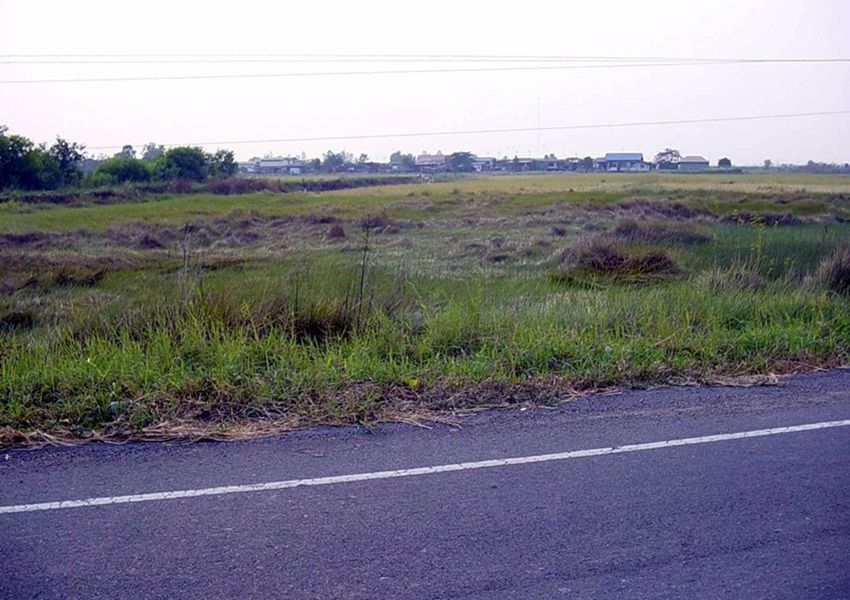 ที่ดินให้เช่า-โพธิ์แทน-นครนายก-มี-2-แปลงๆละ-4-ไร่-ติดถนนใหญ่-นย2024