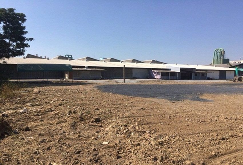 ให้เช่าที่ดินใกล้ถนน-ใกล้สุวรรณภูมิ-แหลมฉบัง-บางปะกง-บางนา-ตราด-บางวัว-บางปะกง-ฉะเชิงเทรา-ใกล้นิคมเว