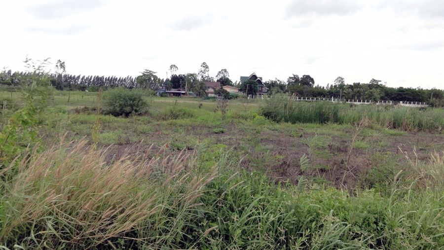 ให้เช่าที่ดิน-ใกล้วัดพระธรรมกายหลายแปลง-ขนาด152-606ตรวา