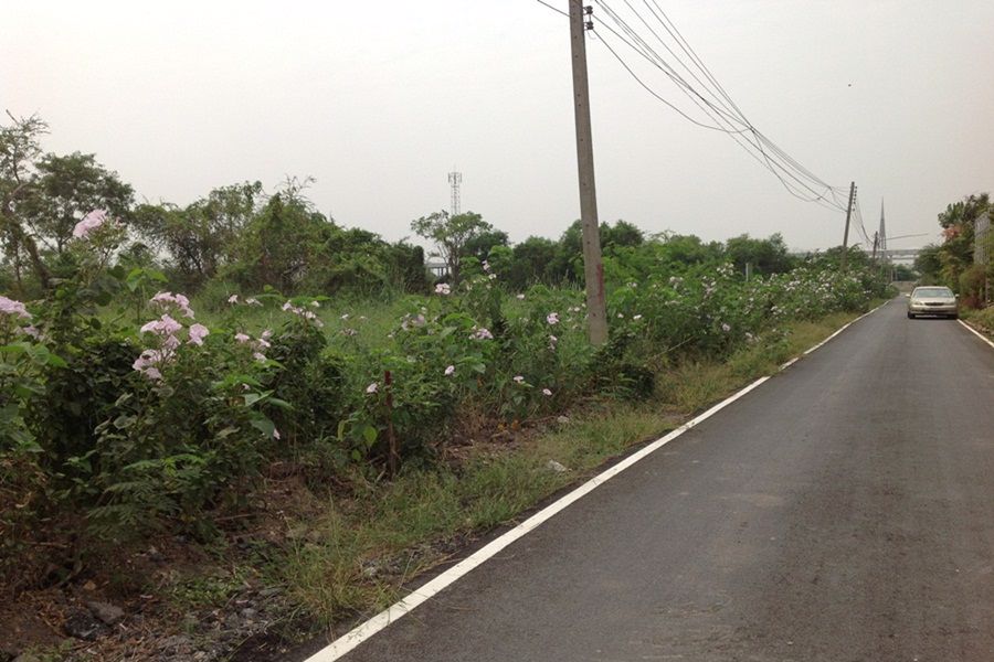 ให้เช่าที่ดิน-ใกล้วัดพระธรรมกายหลายแปลง-ขนาด152-606ตรวา