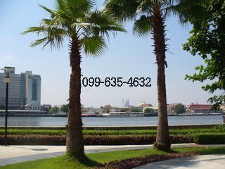 ให้เช่า-คอนโด-ศุภาลัย-ริเวอร์-เพลส-เจริญนคร-supalai-river-place-วิวแม่น้ำ-ทำเลดีใกล้รถไฟฟ้า-ห้างไอคอ