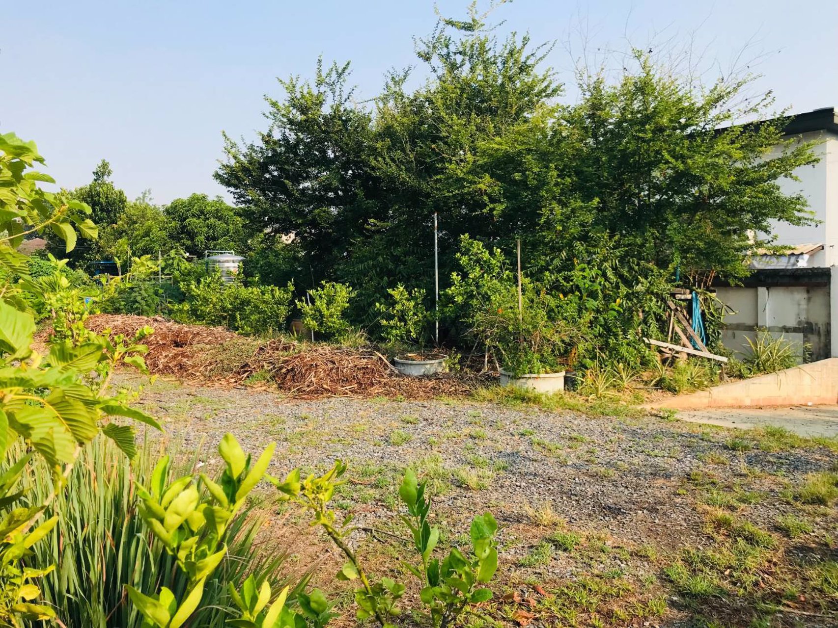 ขายที่ดินทำเลทองพร้อมบ้านสวนและพืชพรรณนาชนิด-ใจกลางถนนเกษตรนวมินทร์