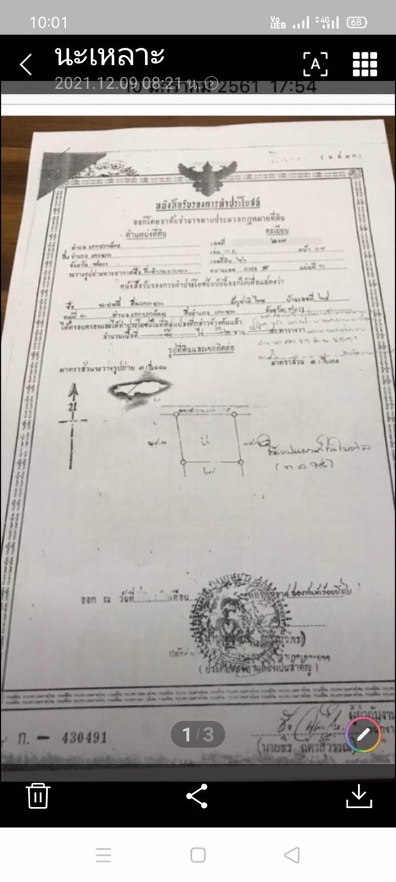ขายทีดิน-บนเกาะยาวน้อย-จพังงา-เป็น-นส3-ก