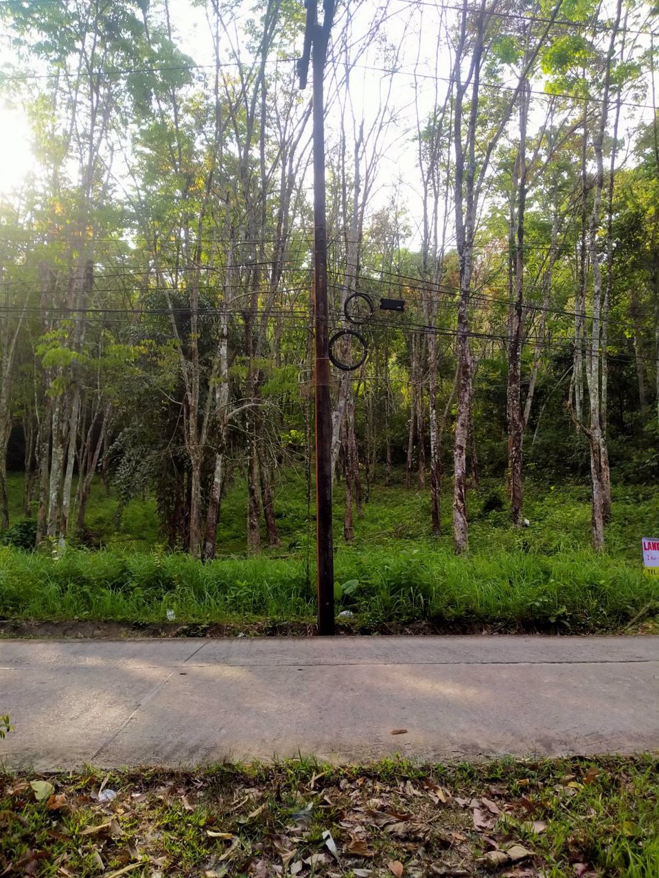 ขายทีดิน-บนเกาะยาวน้อย-จพังงา-เป็น-นส3-ก