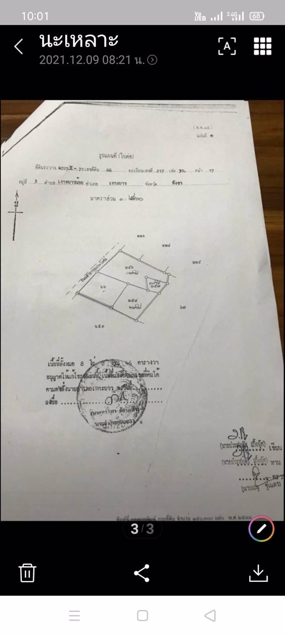 ขายทีดิน-บนเกาะยาวน้อย-จพังงา-เป็น-นส3-ก
