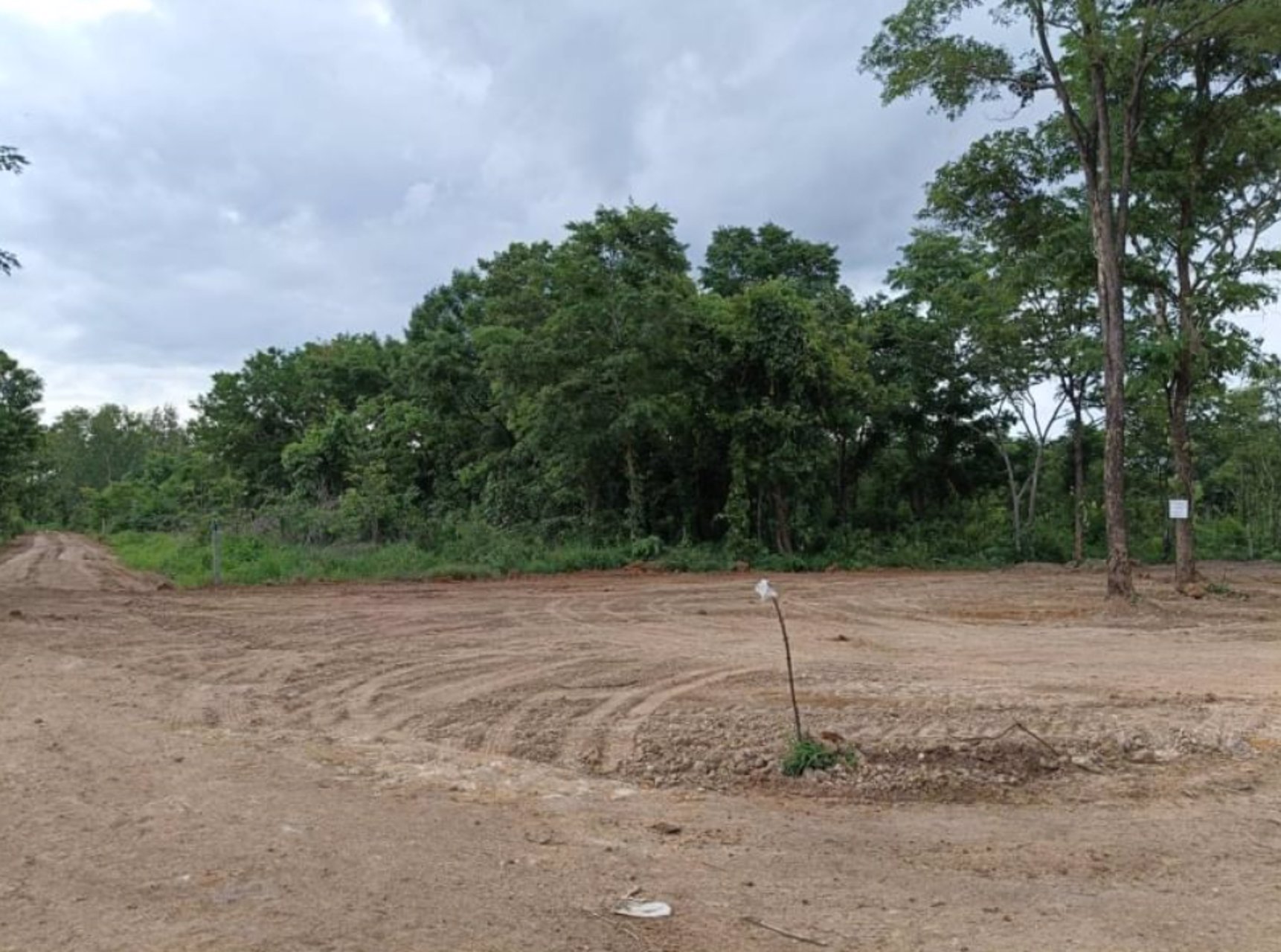 ขายที่ดิน1ไร่ทางบ้านนาลาดควายไปดอนยาง