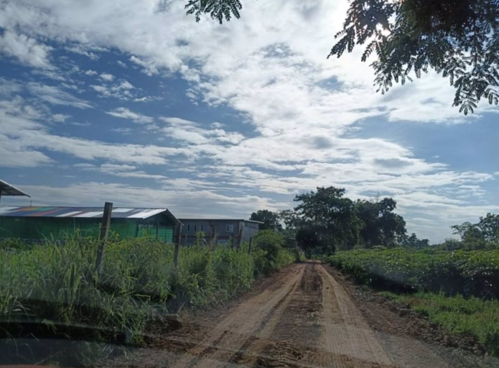 ขายที่ดิน-65ตรว-ติดถนน2ด้าน