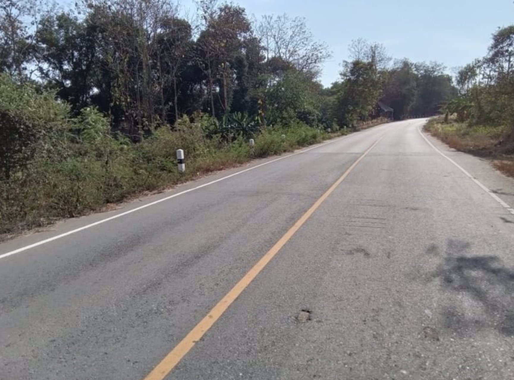 ขายที่ดิน-117ตรว-ราคา149000บาท-ผ่อนวัน100บาท-